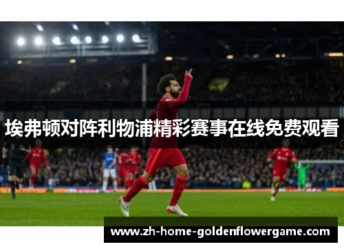 埃弗顿对阵利物浦精彩赛事在线免费观看